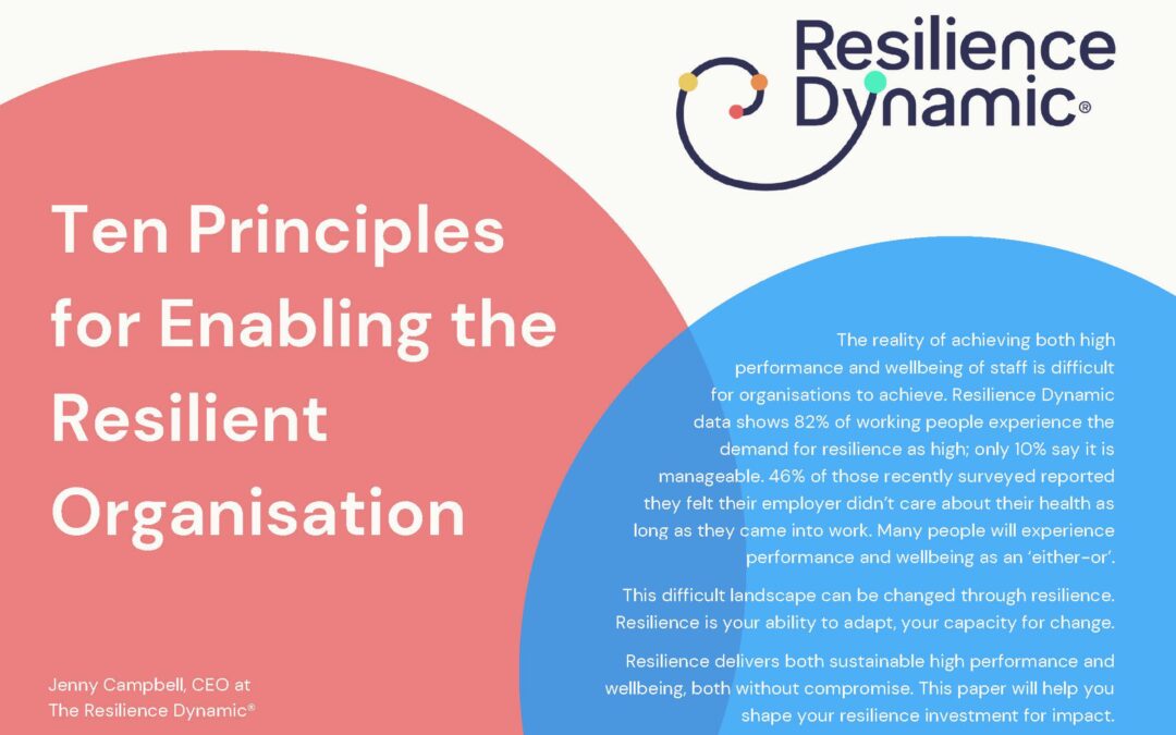Resilient Organisation; Ten Principles