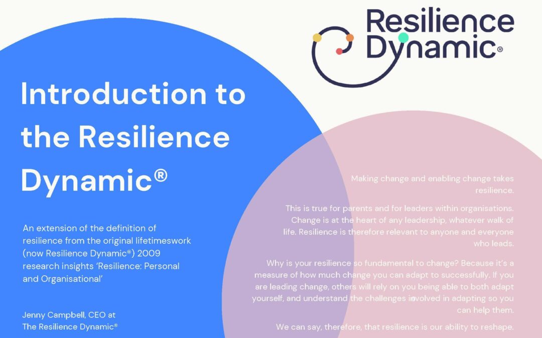 Resilience Dynamic; Introduction to our framework
