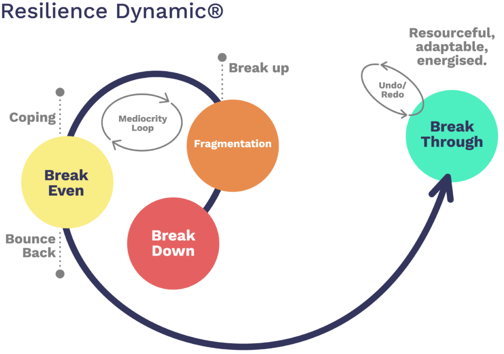 The Resilience Dynamic Model 