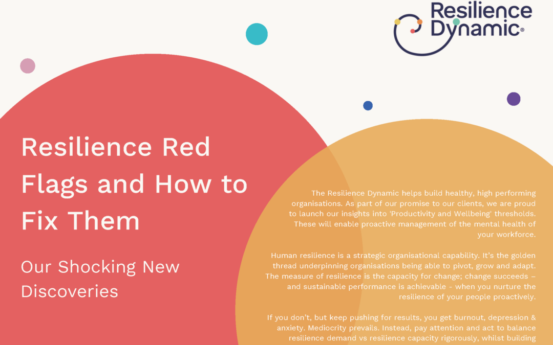 Resilient Organisation; Red Flags and How to Fix Them