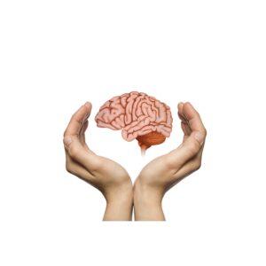 You Need to Protect Your PreFrontal Cortex!